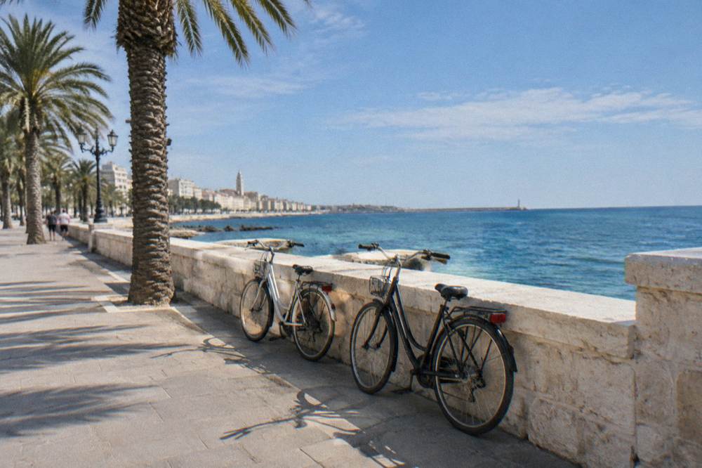 Two plain city bicycles leaning on a low sea wall on the seafront promenade, palm trees, the calm sea beyond, soft morning light, Lungomare Nazario Sauro