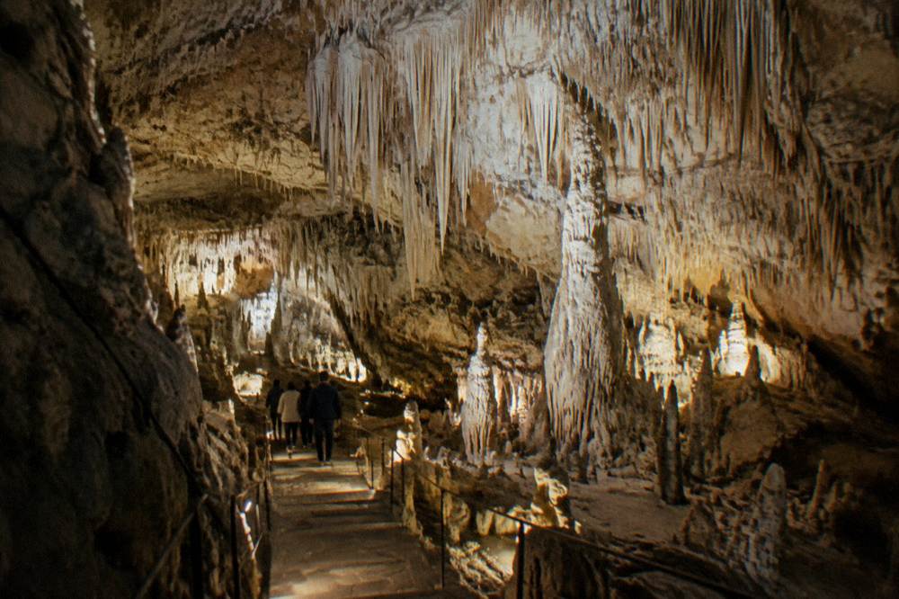 A vast underground cave hall of pale stalactites and stalagmites under warm lights, a stepped path, a small group tiny and seen from behind, Grotte di Castellana