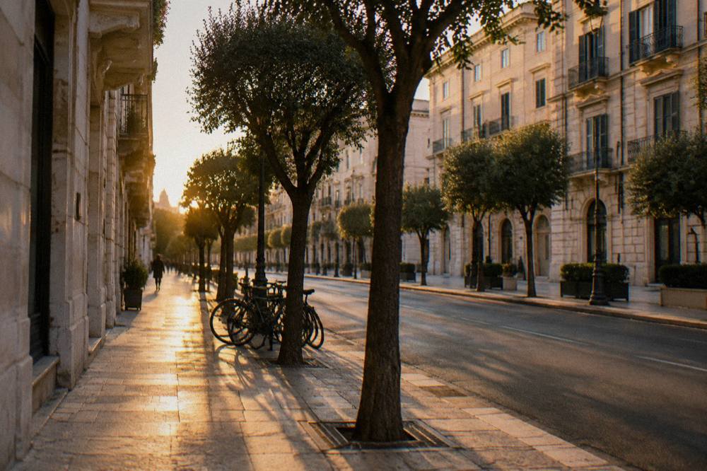 Tree-lined boulevard at golden hour with warm light on cream facades and long tree shadows