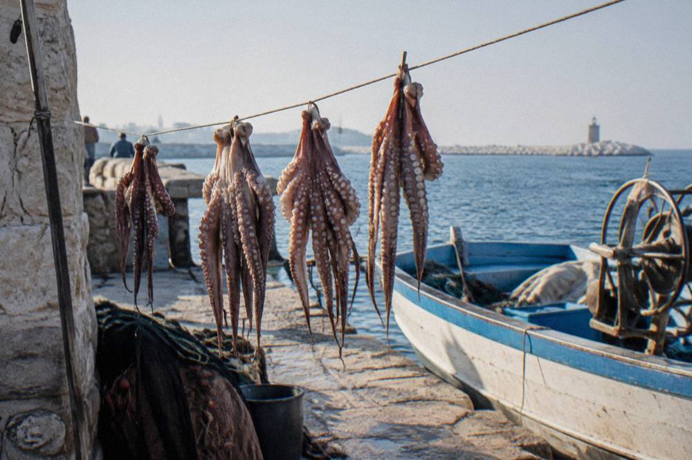 Octopus hung to dry on a line beside a small fishing boat with the sea blue behind