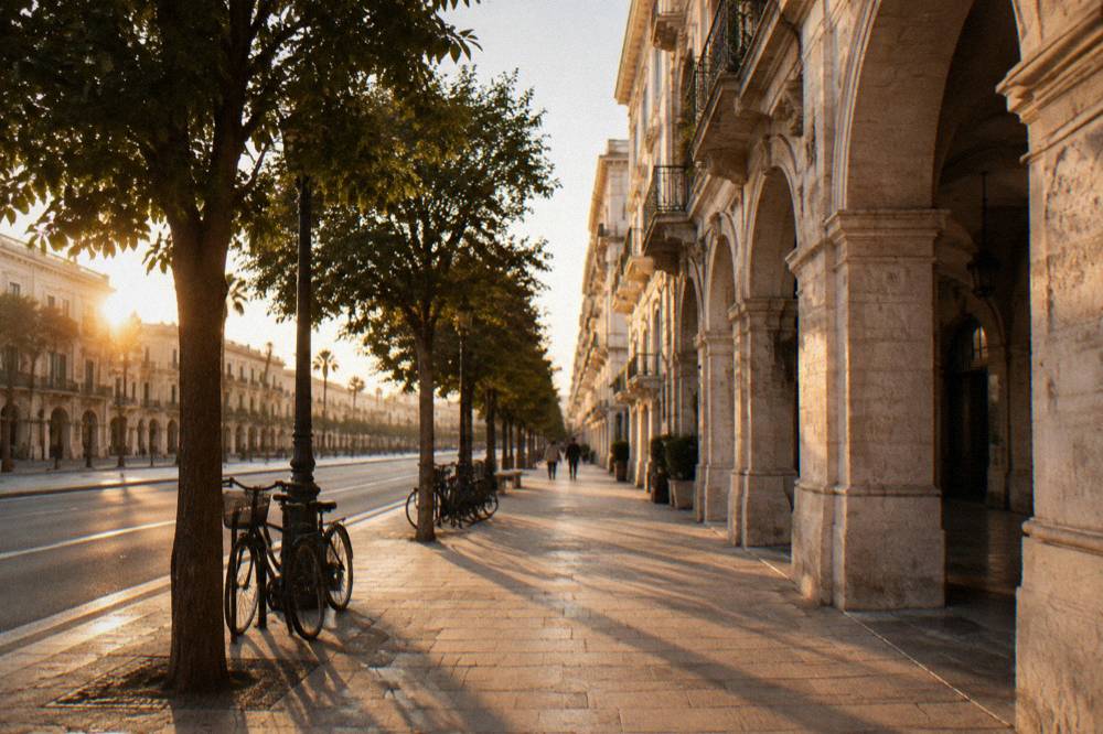 Tree-lined boulevard at golden hour with warm light on cream facades and long tree shadows