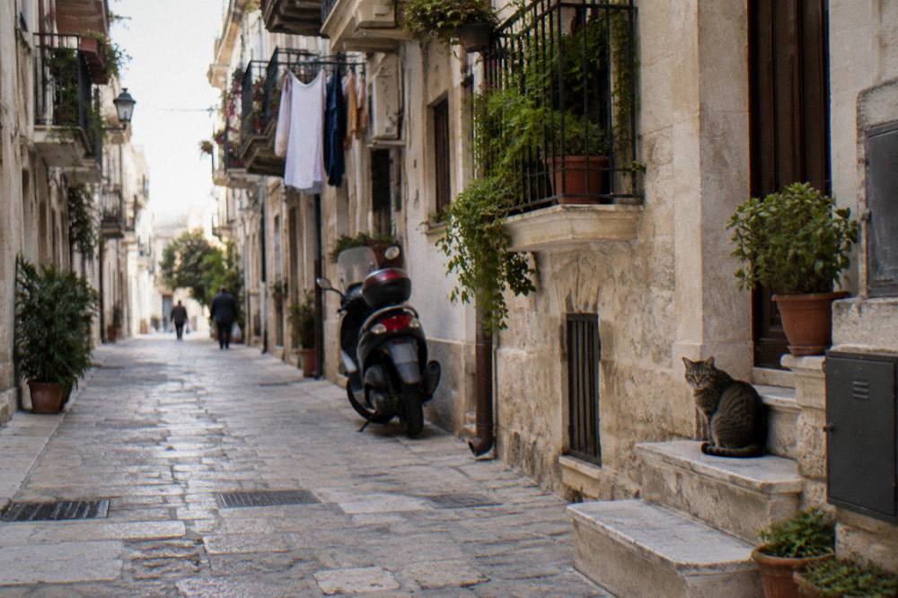 Quiet back street of apartment blocks with balconies, plants, laundry and a tabby cat on a step
