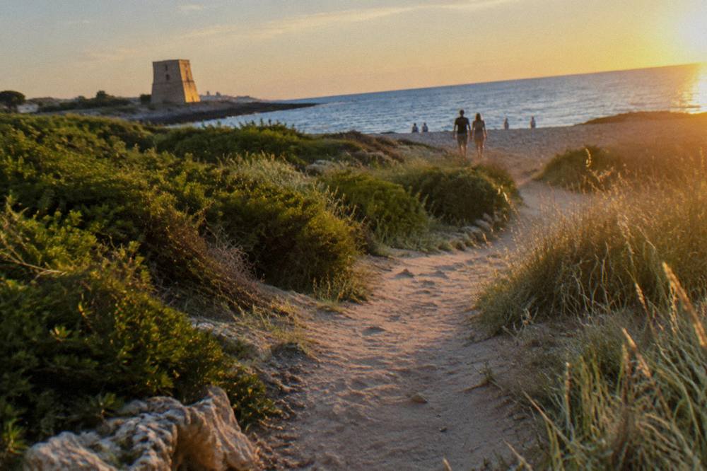 Sandy path through Mediterranean scrub and tall grass leading to a pebble beach and bright sea