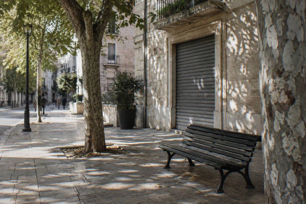 Shaded corner of a district with a cream stone shopfront, a bench and dappled light