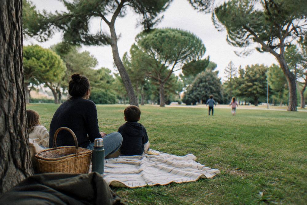 Picnic blanket with a basket on a lawn under pines and children running far off