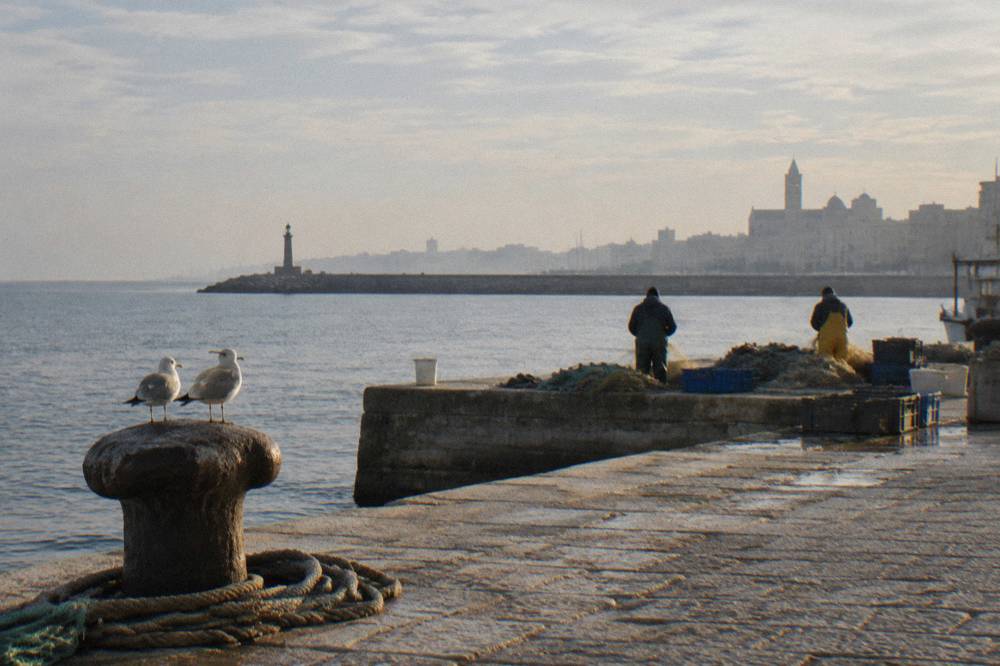 Distant fishermen working beside nets and crates on a low concrete quay with seagulls in early morning haze