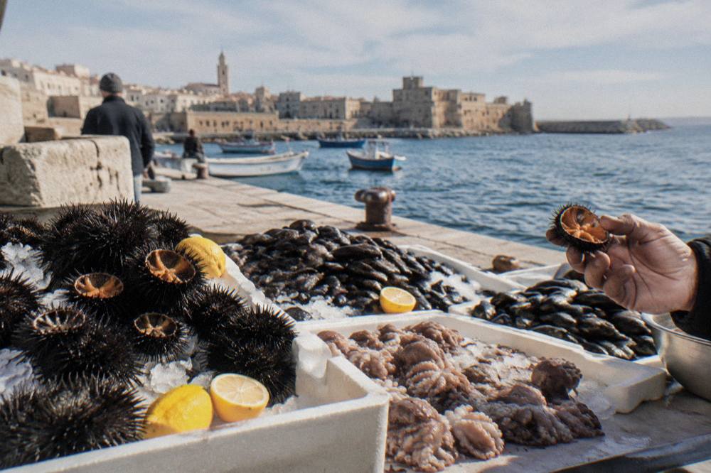 Raw sea urchins, mussels and small octopus on ice on a plain table at the harbour edge with a hand holding a shell