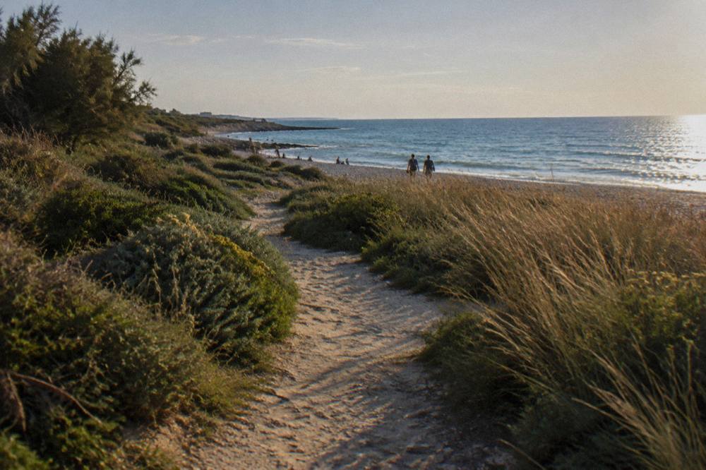 Sandy path through Mediterranean scrub and tall grass leading to a pebble beach and bright sea
