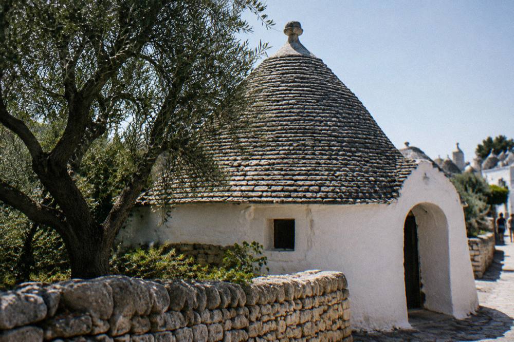 White house with a grey conical stone roof and a pinnacle behind a dry-stone wall and an olive tree