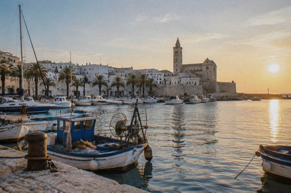 Harbour of moored yachts and fishing boats with palm trees along the waterfront and a whitewashed old town