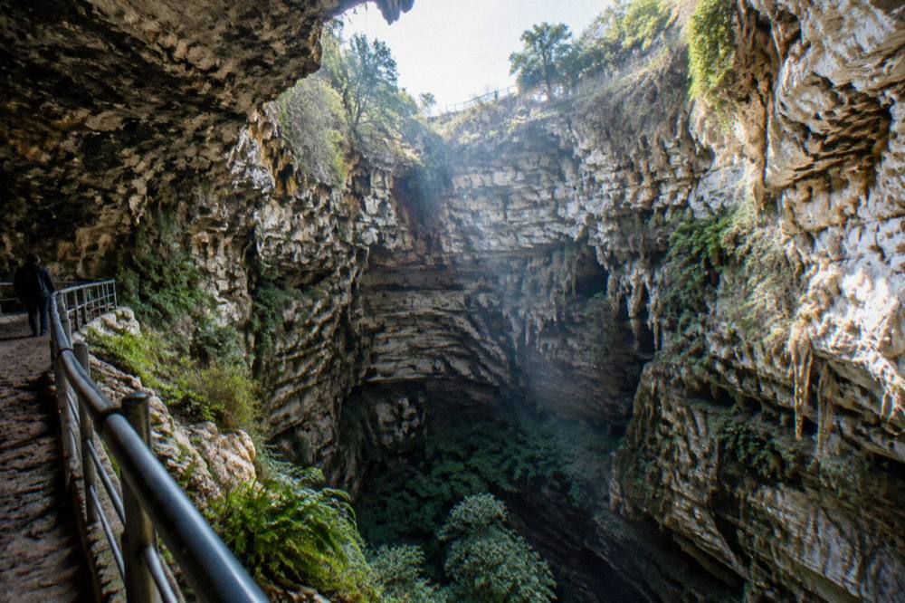 Wide karst sinkhole with rough pale rock walls, ferns and shafts of daylight reaching down