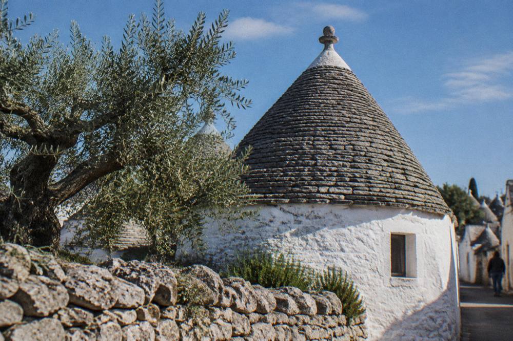 White house with a grey conical stone roof and a pinnacle behind a dry-stone wall and an olive tree