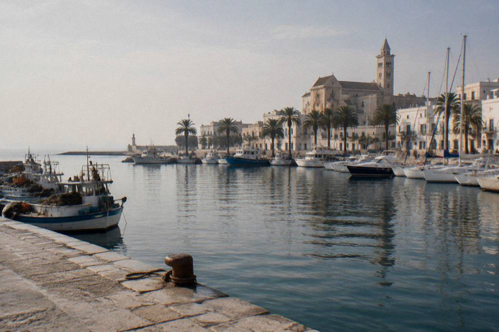 Harbour of moored yachts and fishing boats with palm trees along the waterfront and a whitewashed old town