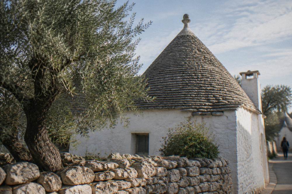 White house with a grey conical stone roof and a pinnacle behind a dry-stone wall and an olive tree