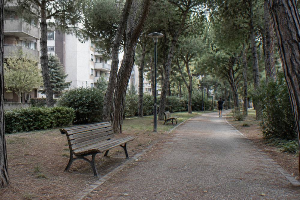 Pine-shaded park path with benches in a residential district and a distant jogger