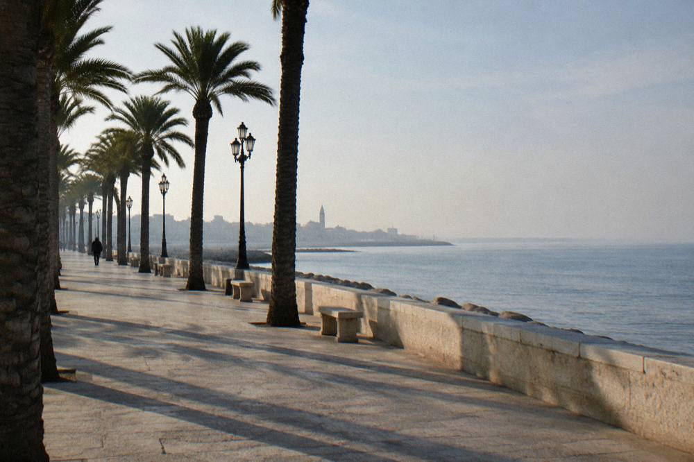 Line of palm trees casting long shadows across paving beside a low sea wall on an empty early morning promenade