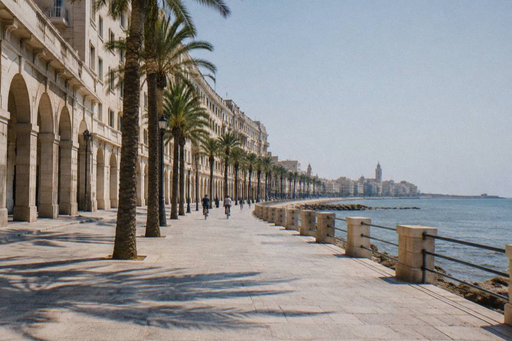Broad seafront promenade beside a low sea wall with palm trees and a long curve of cream buildings
