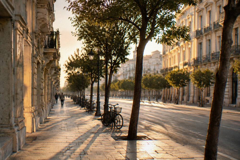 Tree-lined boulevard at golden hour with warm light on cream facades and long tree shadows