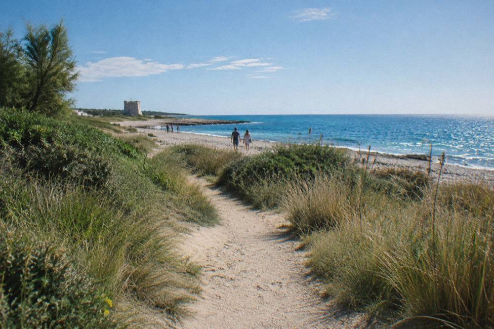 Sandy path through Mediterranean scrub and tall grass leading to a pebble beach and bright sea