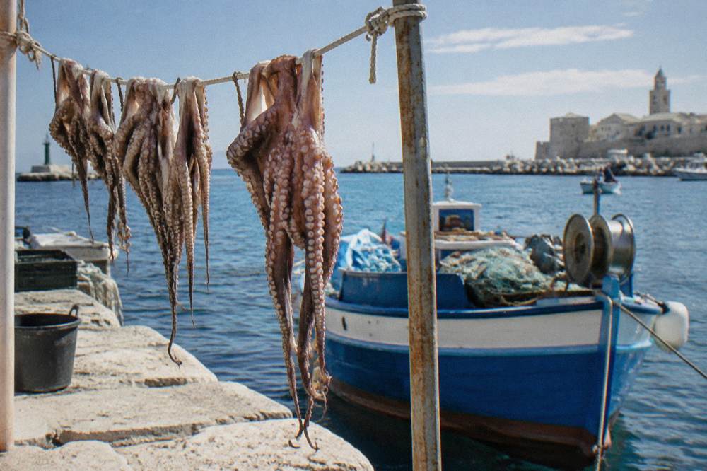 Octopus hung to dry on a line beside a small fishing boat with the sea blue behind