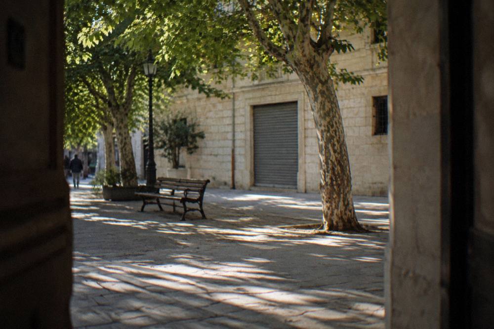 Shaded corner of a district with a cream stone shopfront, a bench and dappled light