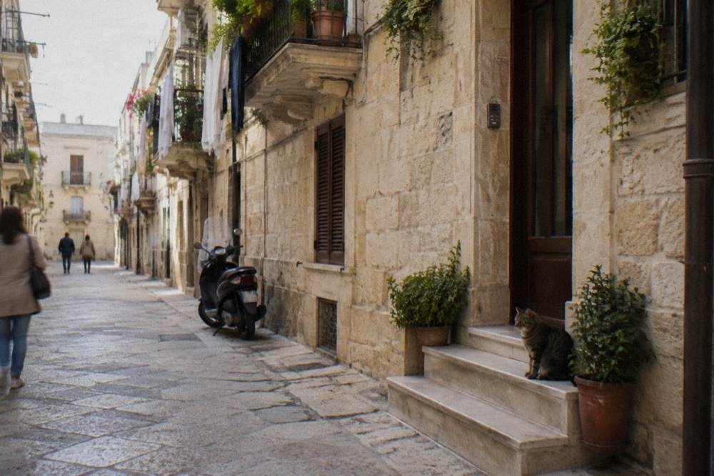 Quiet back street of apartment blocks with balconies, plants, laundry and a tabby cat on a step
