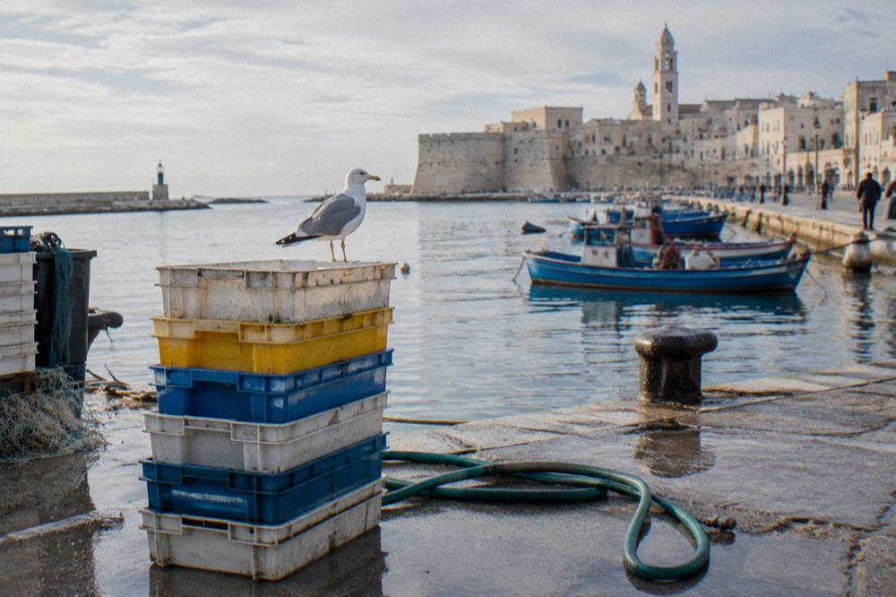 Stack of plastic fish crates and a hose on a wet concrete quay with a gull on top in soft early light