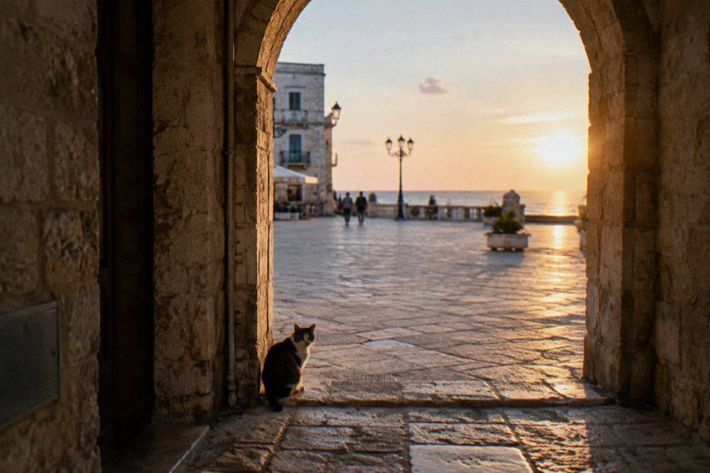 Stone archway leading from a lane into a bright piazza with a cat sitting on the threshold