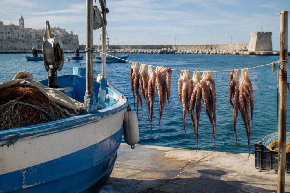 Octopus hung to dry on a line beside a small fishing boat with the sea blue behind