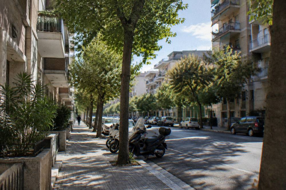 Leafy residential avenue of mid-century apartment blocks with street trees and parked scooters