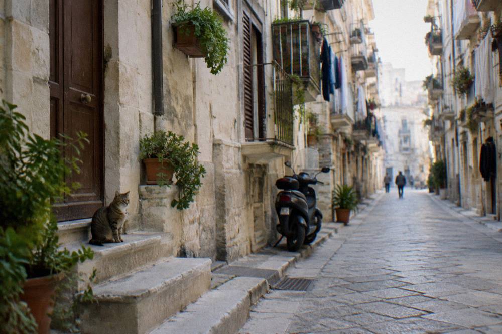 Quiet back street of apartment blocks with balconies, plants, laundry and a tabby cat on a step