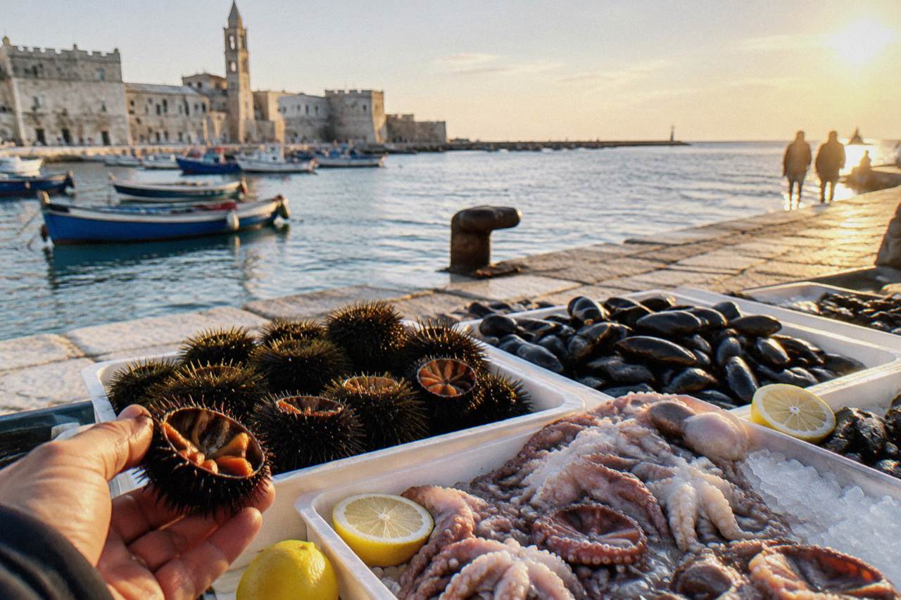 Raw sea urchins, mussels and small octopus on ice on a plain table at the harbour edge with a hand holding a shell