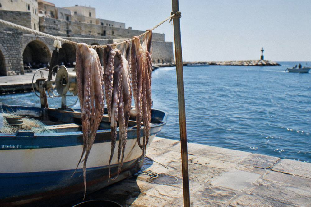 Octopus hung to dry on a line beside a small fishing boat with the sea blue behind