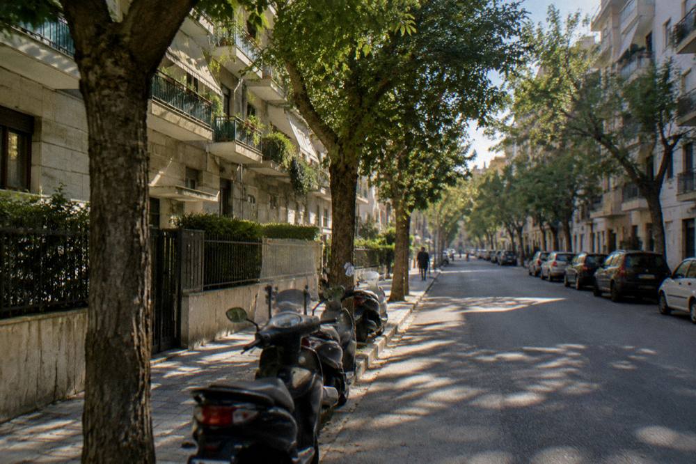 Leafy residential avenue of mid-century apartment blocks with street trees and parked scooters