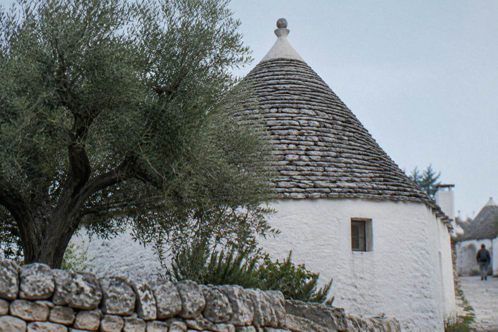 White house with a grey conical stone roof and a pinnacle behind a dry-stone wall and an olive tree