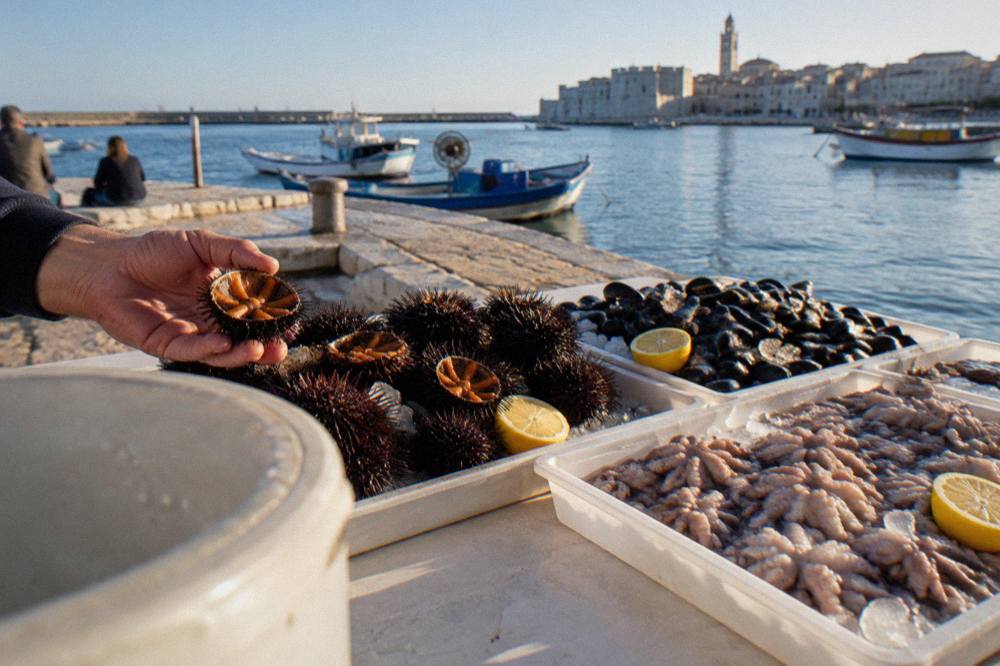 Raw sea urchins, mussels and small octopus on ice on a plain table at the harbour edge with a hand holding a shell