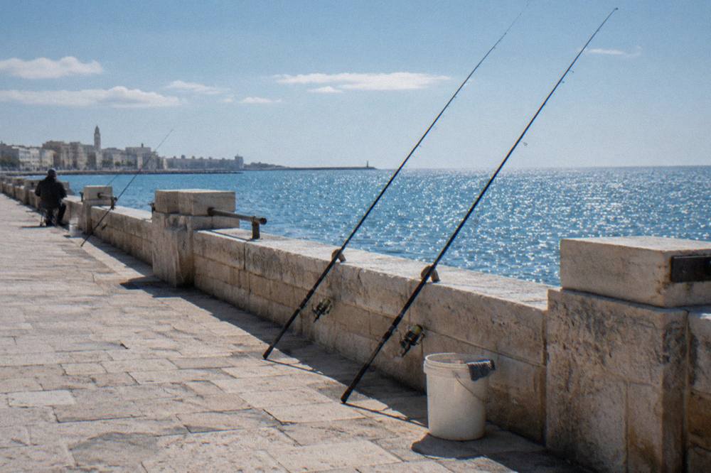 Anglers' rods propped against a sea wall with a plastic bucket on the paving and the sea sparkling beyond