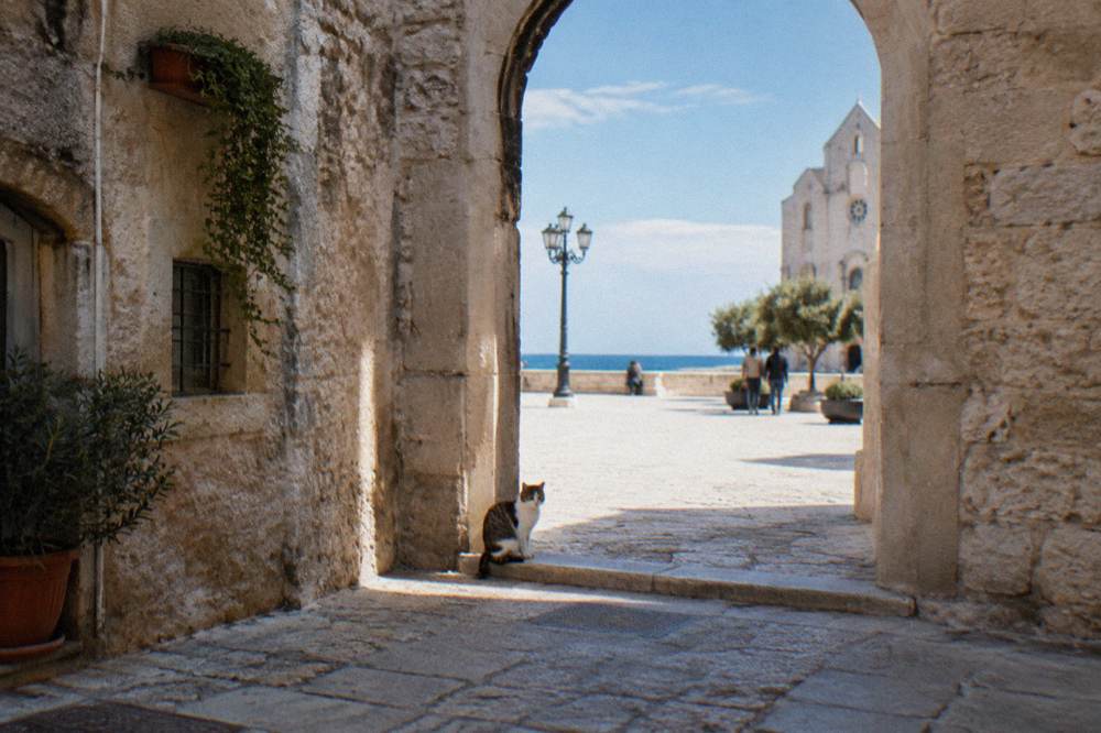 Stone archway leading from a lane into a bright piazza with a cat sitting on the threshold