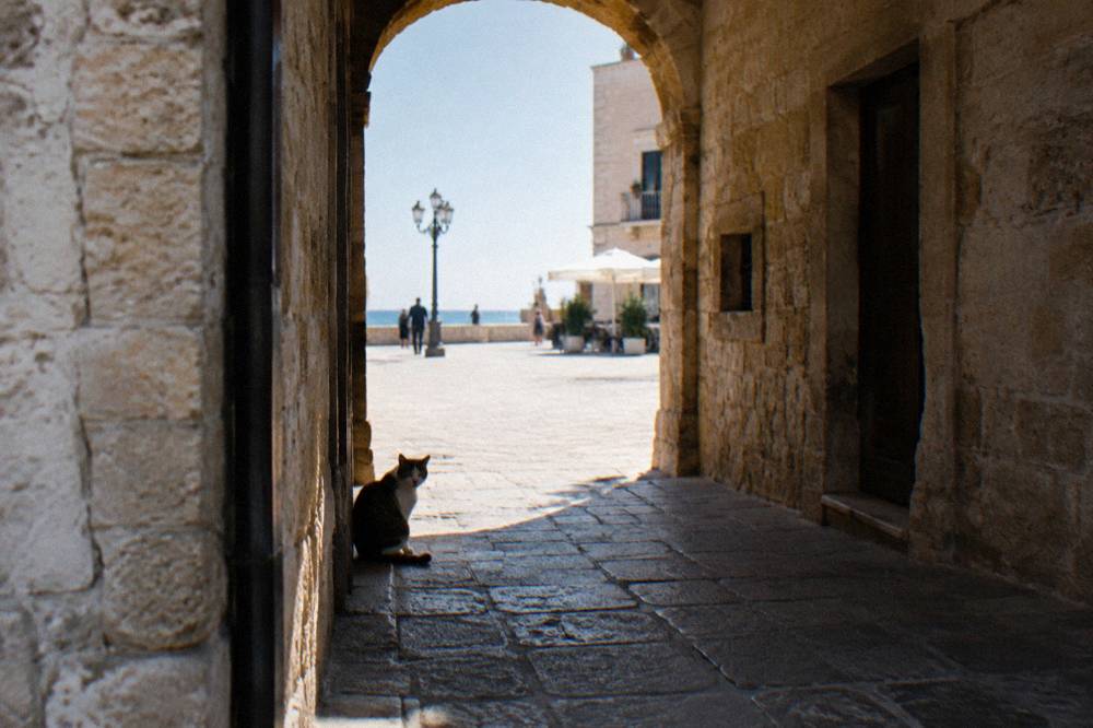 Stone archway leading from a lane into a bright piazza with a cat sitting on the threshold