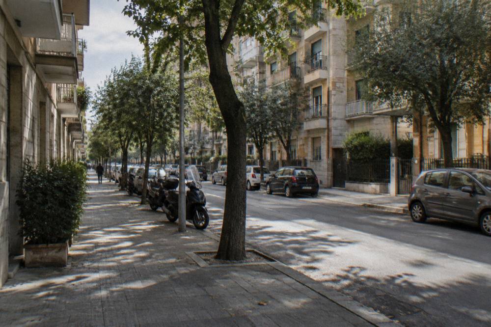 Leafy residential avenue of mid-century apartment blocks with street trees and parked scooters