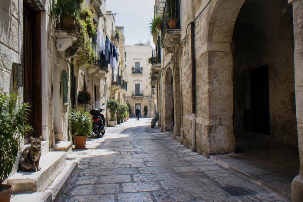 Quiet back street of apartment blocks with balconies, plants, laundry and a tabby cat on a step
