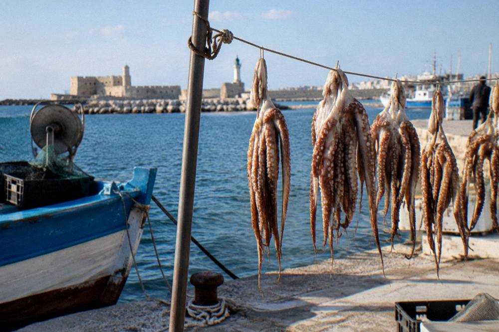 Octopus hung to dry on a line beside a small fishing boat with the sea blue behind