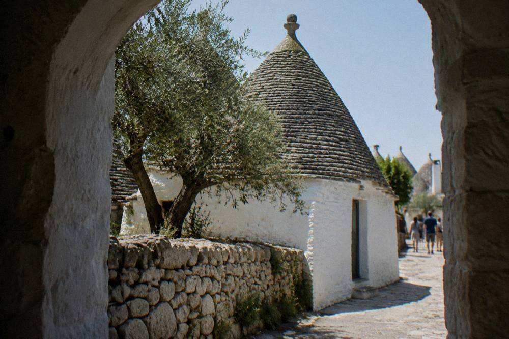 White house with a grey conical stone roof and a pinnacle behind a dry-stone wall and an olive tree
