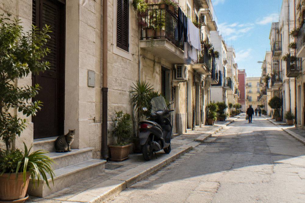 Quiet back street of apartment blocks with balconies, plants, laundry and a tabby cat on a step