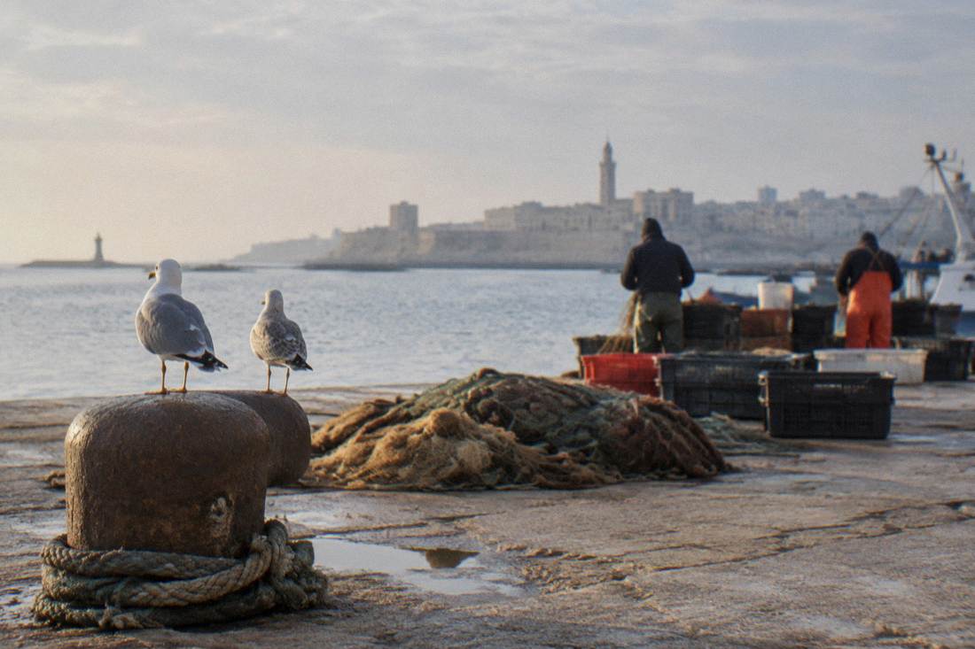 Molo San Nicola in Bari, Italy
