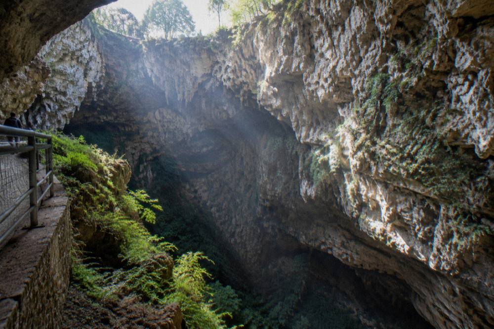 Wide karst sinkhole with rough pale rock walls, ferns and shafts of daylight reaching down